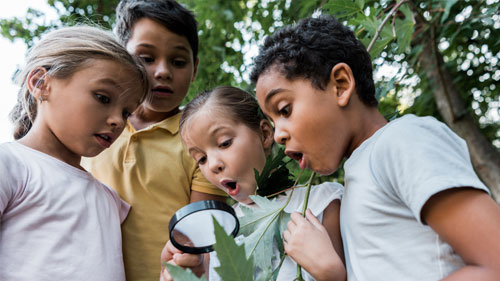 Into The Woods Community Walk – Hosted by the Parent Ambassadors